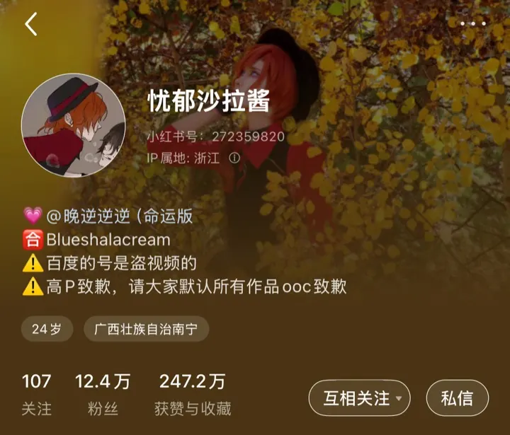 Domestic account matrix profile screenshot thumbnail